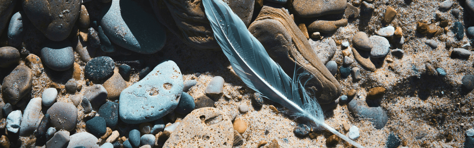 Une plume posée sur le sol à côté de pierres et rochers