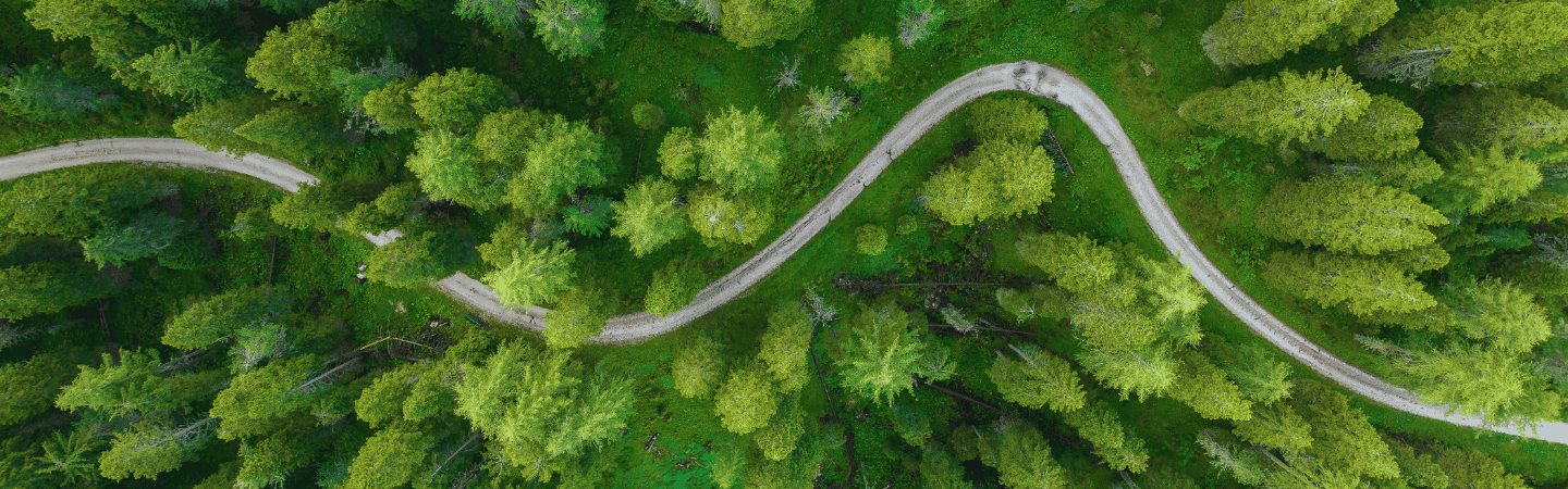 Une vue aérienne d'une route avec des virages au milieu d'une forêt de sapins